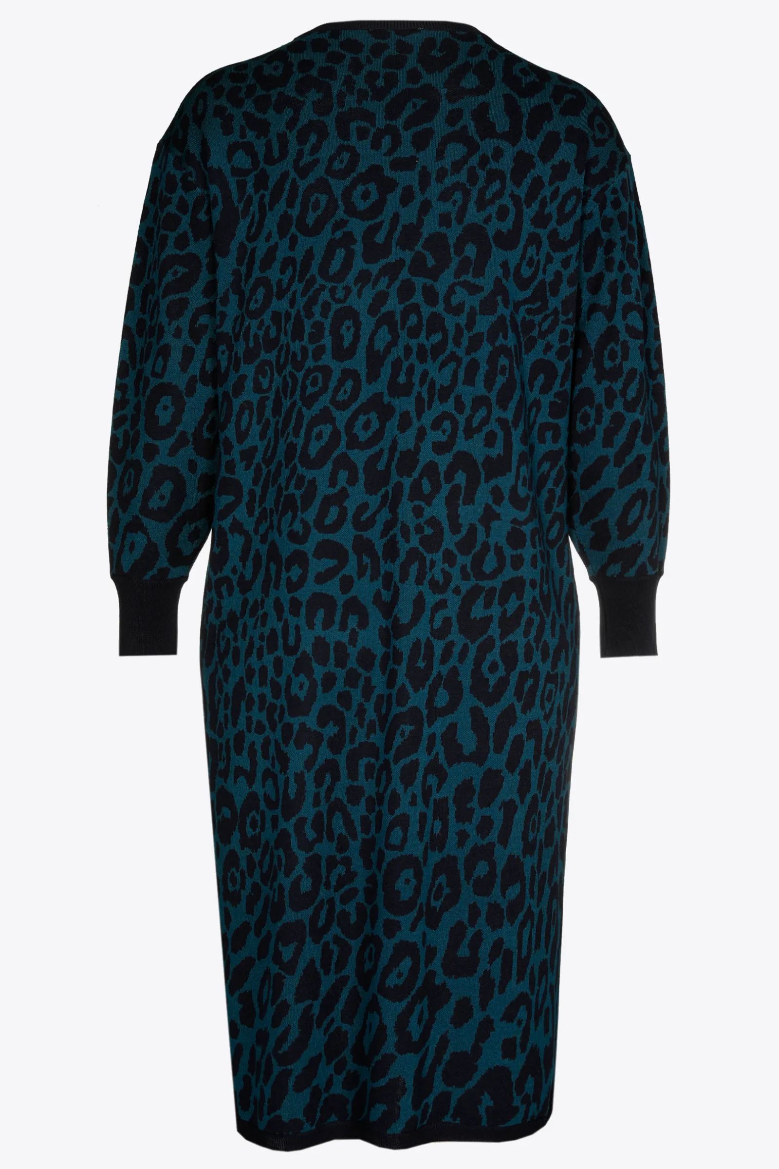 Xandres Robe longue à imprimé léopard-Femme Robes